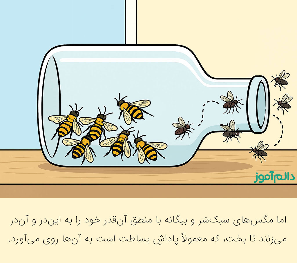 نمونه‌ای از ترجمه در دائم‌آموز